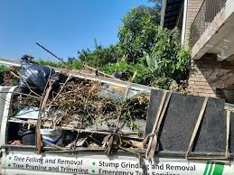 Best Yard Waste Removal  in Dayton, NJ