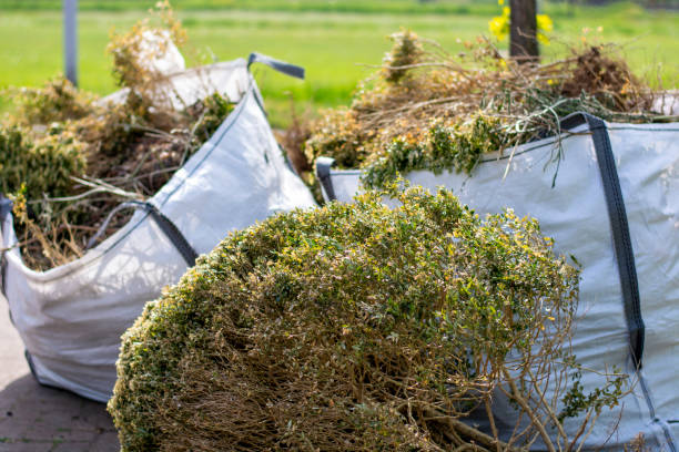 Best Property Management Cleanouts  in Dayton, NJ